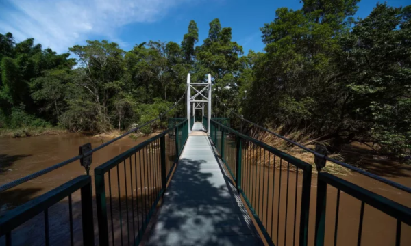 lowveld national botanical garden